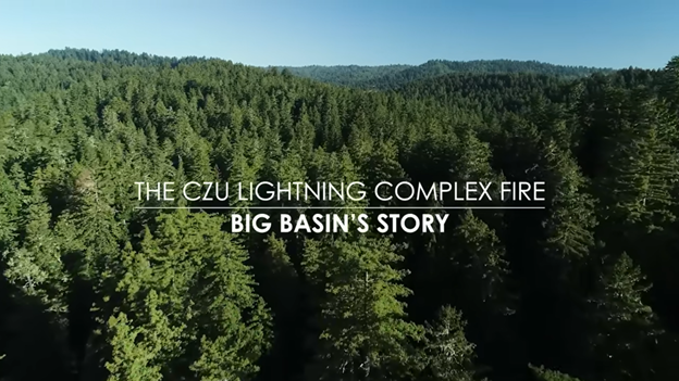 The CZU Lightning Complex Fire: Big Basin's Story